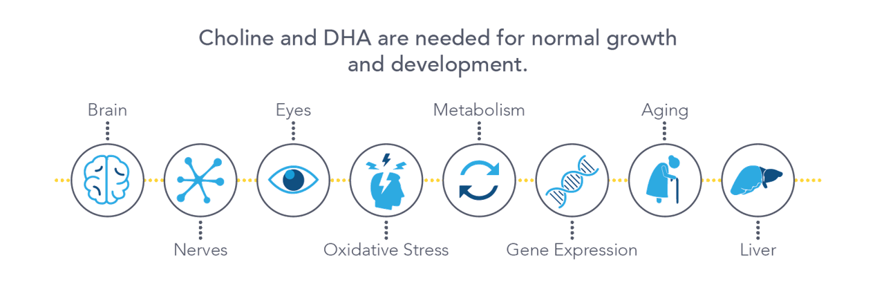 Choline and DHA health claims